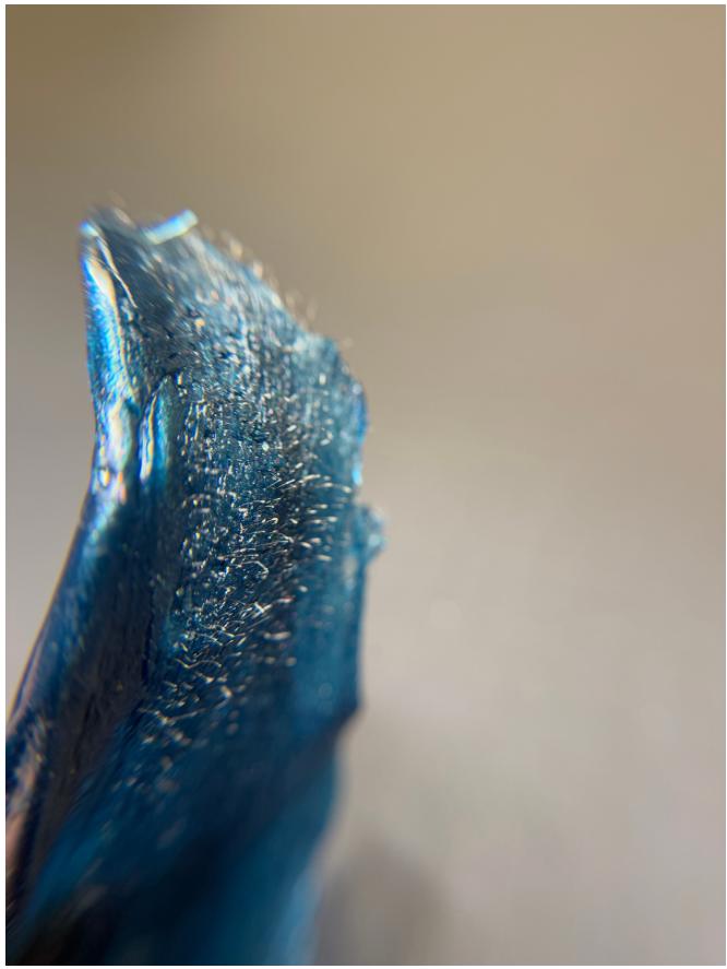 unnamed image